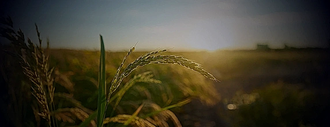 Connected agribusiness operations powered by digital intelligence