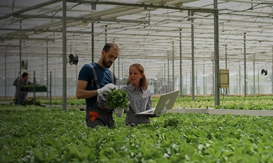 Agribusiness overview — connected intelligence across the value chain