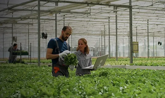 Agribusiness overview — connected intelligence across the value chain