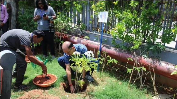 Nexians planting trees for the Net-Zero Roadmap