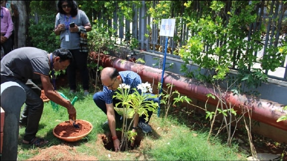 Nexians planting trees for the Net-Zero Roadmap